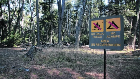 <Bosques nativos en Río Negro: prometen resolver los incumplimientos