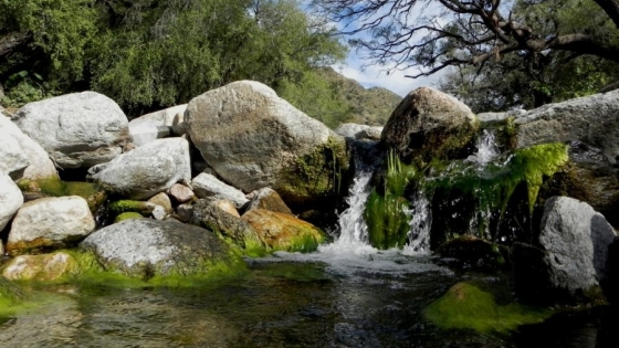 Sendero Los Abuelos, un refugio para descubrir biodiversidad y ecoturismo en Luján