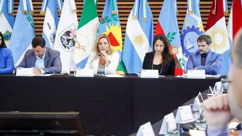En reunión plenaria el Consejo Federal de Energía destacó la planificación energética realizada por la Provincia