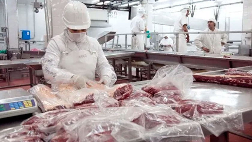El Gobierno analizó el funcionamiento de la cadena de la carne y se anticipa a la etapa de mitigación