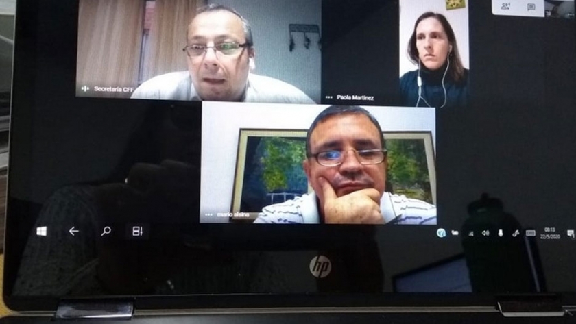 Reunión virtual de la Regional NEA del Consejo Federal Fitosanitario