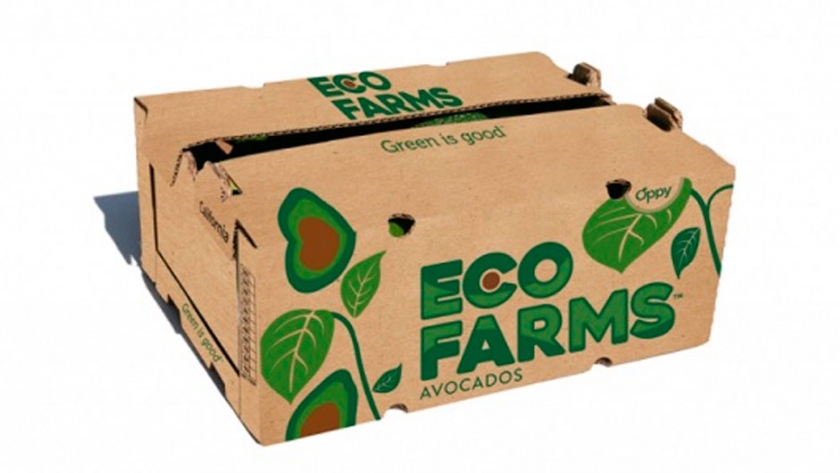 Oppy adquiere participación en Eco Farms y expande su categoría de paltas