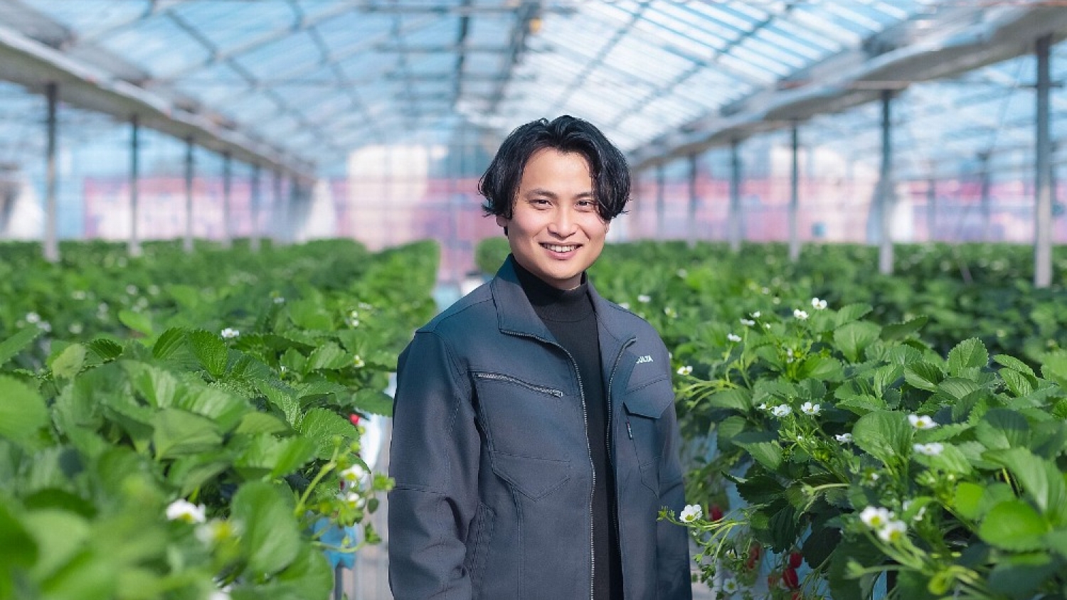 Culta uses AI to take Japan’s premium fruit model global