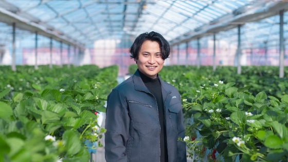 Culta uses AI to take Japan’s premium fruit model global