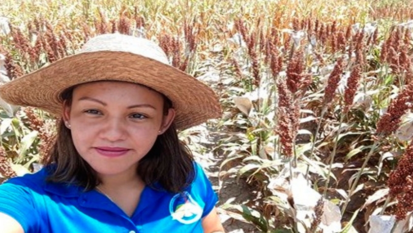 Dan valor agregado a cosecha de sorgo