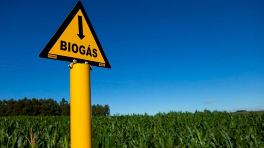 Invierten US$12 millones en una planta de biogás