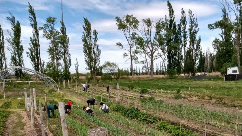Módulo Agroecológico de la EEA Chubut