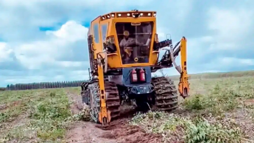 Esta máquina es capaz de plantar decenas de árboles por minuto