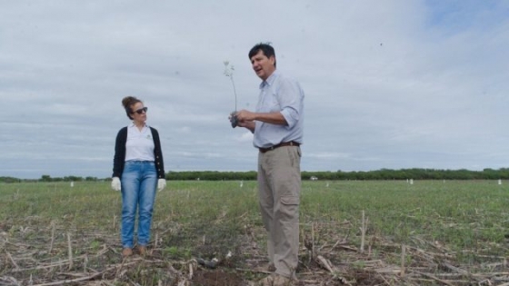 Gran Chaco: alianza para restaurar ecosistemas y mejorar la producción 29 enero 2025