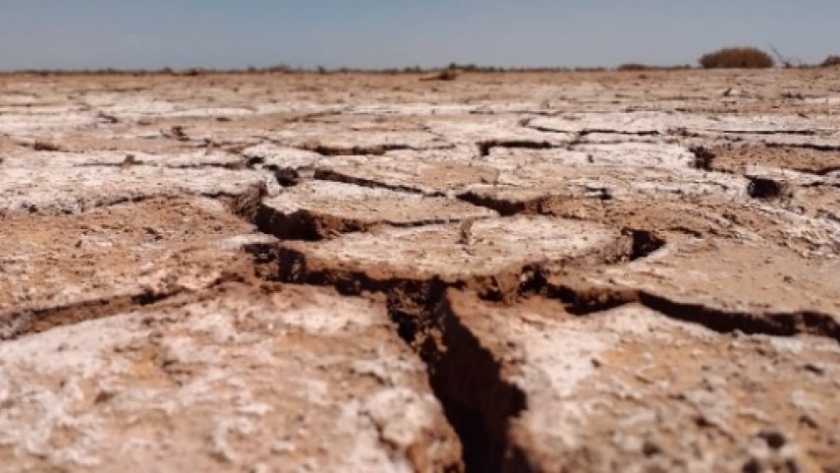 Una jornada para tomar conciencia sobre el cambio climático