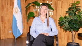 Silvia Lospenatto, Diputada de la Nación