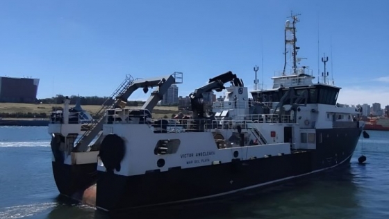 El INIDEP despliega una nueva campaña para medir el stock de calamar y anticipar la temporada 2026