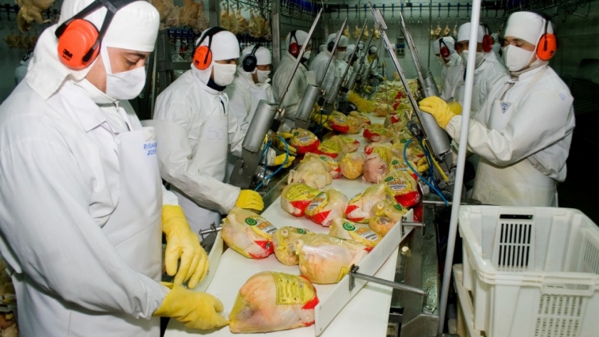 La Argentina continúa recuperando mercados de exportación para sus productos avícolas