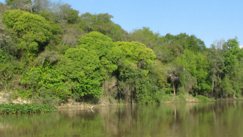 Delta del Paraná: avances para crear un área natural protegida en la zona