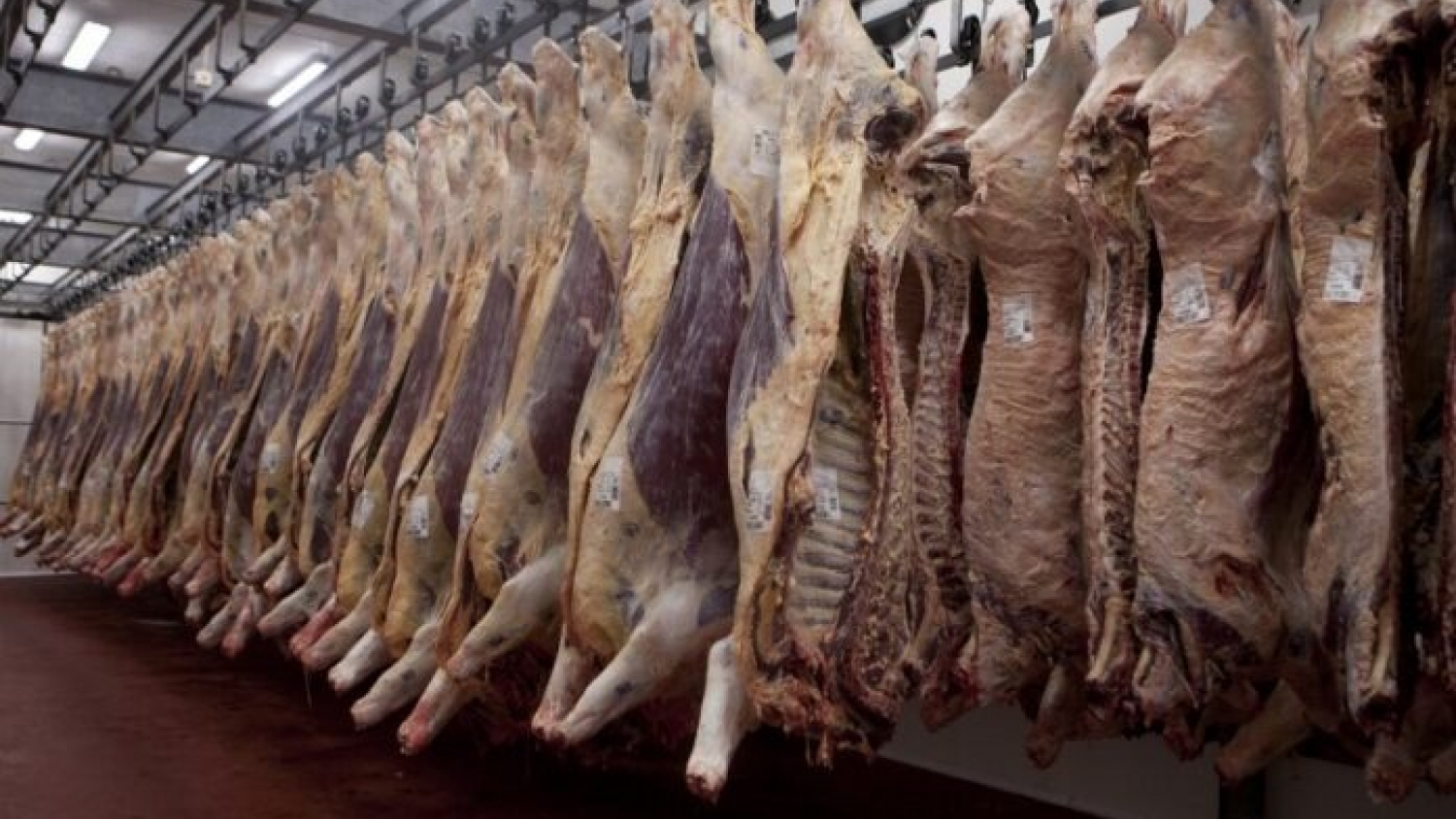 Argentina definió el cupo 2026 para exportar carne vacuna a Colombia