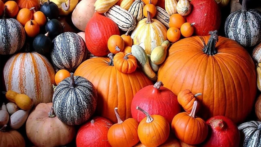 El boom del consumo de calabazas en octubre: tradiciones globales