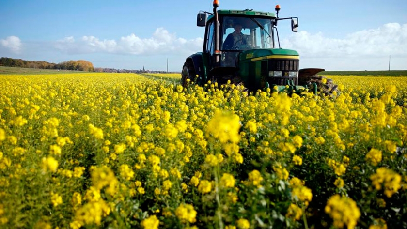 El área sembrada del ciclo 2019/20 creció, aunque la producción cayó en Entre Ríos
