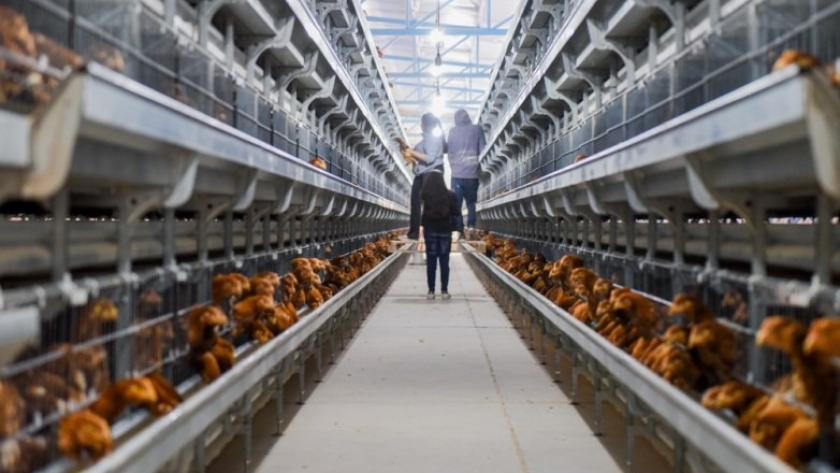 Gracias al Programa de Incentivo Fiscal una empresa sanjuanina pudo ampliar su planta de producción