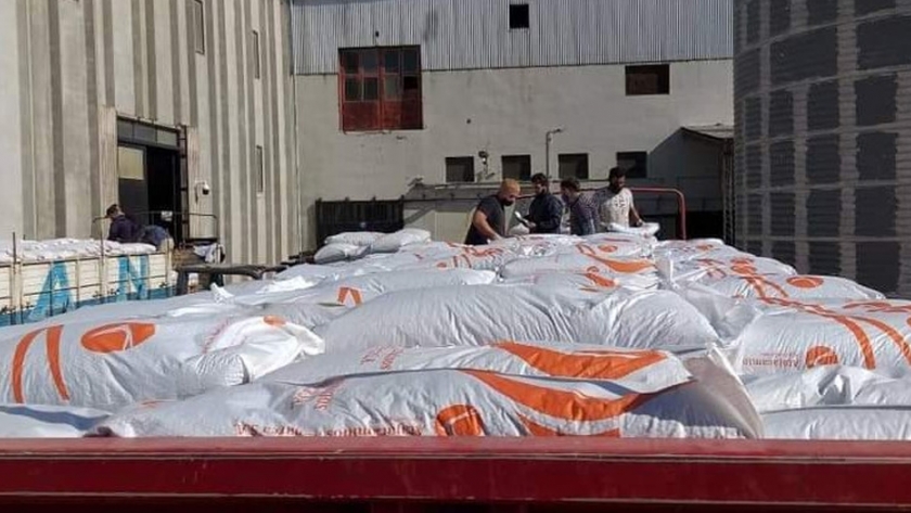 Exportan porotos negros a Ecuador y Chile