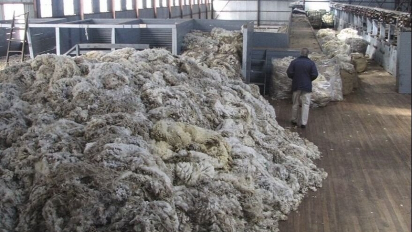 La Argentina podría volver a importar lana sucia de Chile para procesar y reexportar desde aquí