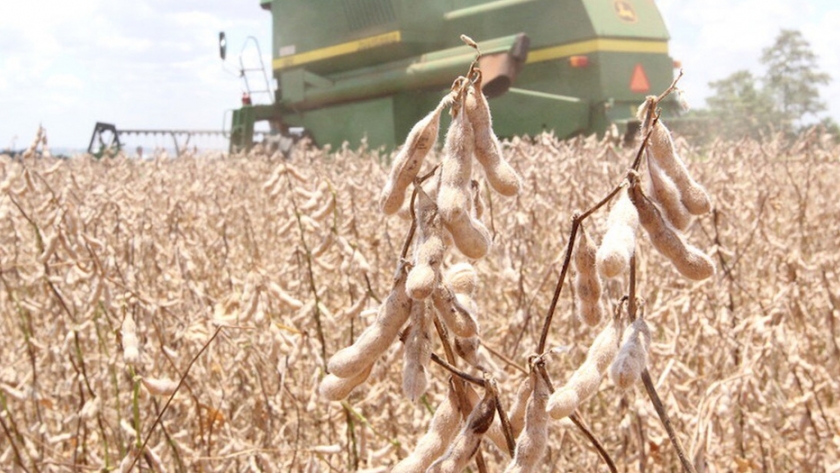 Envíos de soja y arroz encabezan repunte del comercio exterior