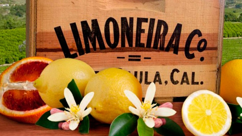Limoneira se asocia con FGT Trapani