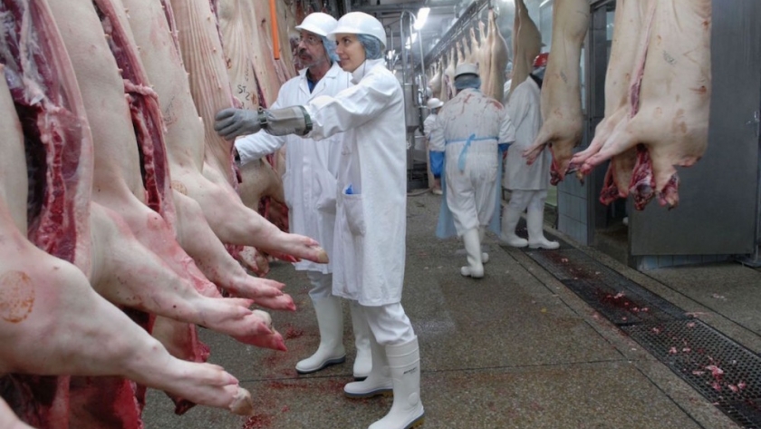 Las exportaciones porcinas se multiplicaron más de 10 veces