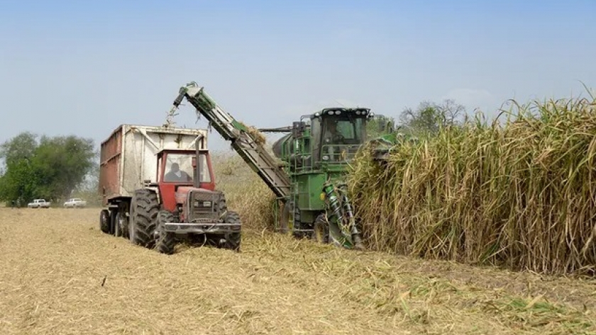 Tucumán: declaran la emergencia agropecuaria por la sequía