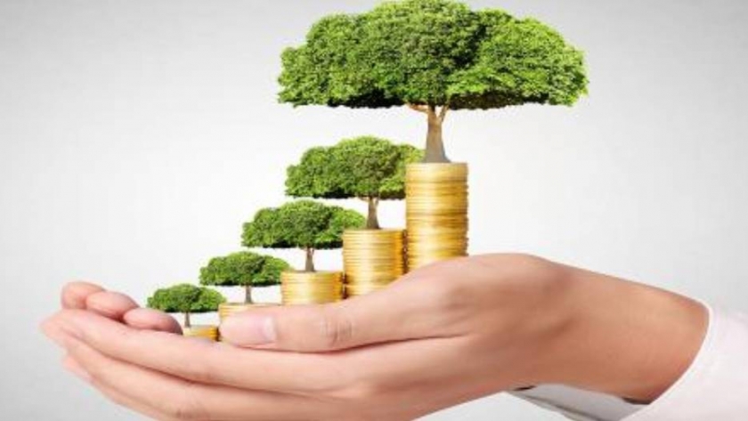 Bonos verdes: buscan reorientar la inversión hacia la agricultura 