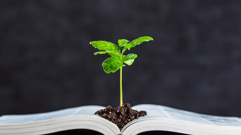 Día Mundial de la Educación Ambiental