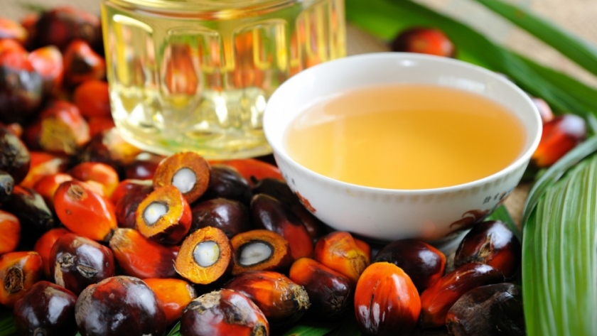 China ha reanudado las importaciones de cuatro aceites vegetales importantes desde principios del año fiscal 2022/23