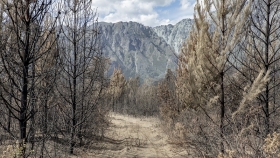 El Bolsón: ¿qué hacer luego de los incendios?