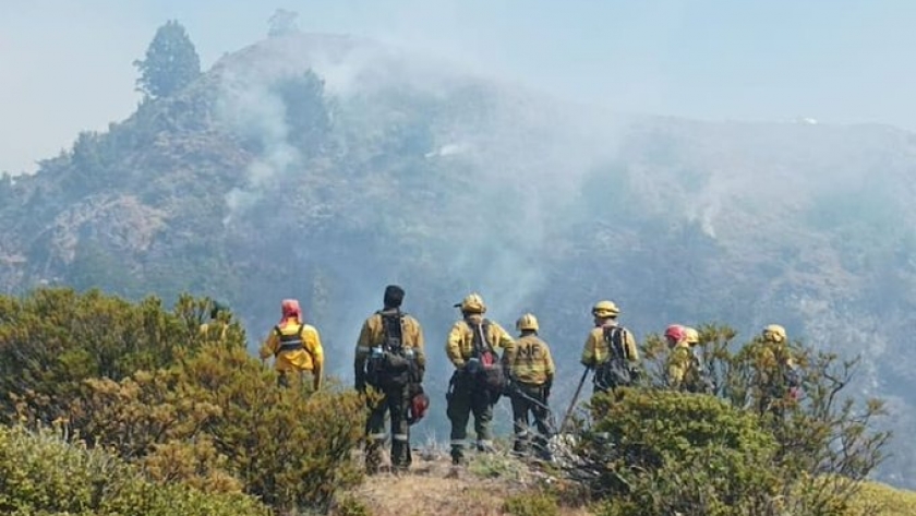 El incendio del Parque Nacional Los Alerces en Chubut ya arrasó unas 2.000 hectáreas de bosques, y se inició otro frente en Neuquén