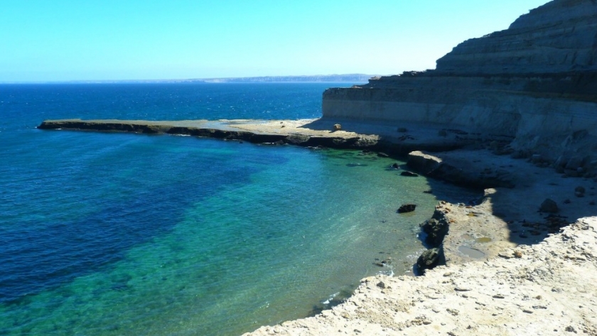 Exploración familiar de la fauna marina en Puerto Madryn: guía completa