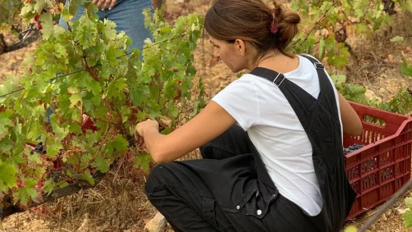 Amid global challenges, Lebanon’s women winemakers continue to persevere