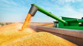 Más controles a las exportaciones de maíz