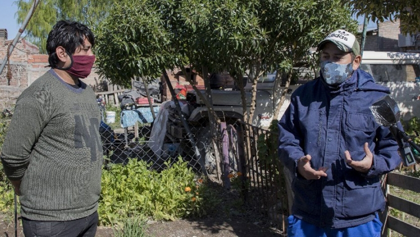 De la huerta a la mesa: Miguel y Ezequiel cuentan su experiencia sobre el Programa Invernaderos