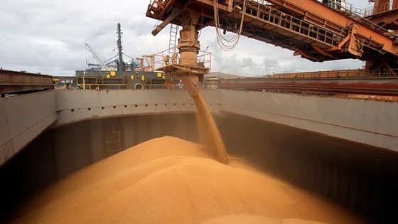 <Las exportaciones de harina de soja se recuperaron un 41 %