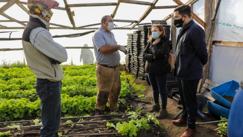 Agricultura en Tierra del Fuego para fortalecer el trabajo de pequeños y medianos productores