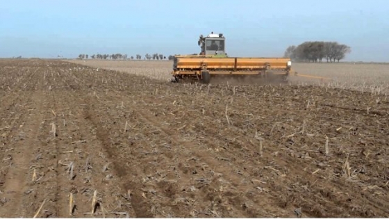 En todo el país, se implantaron 1,3 millones de hectáreas con el cereal de invierno.