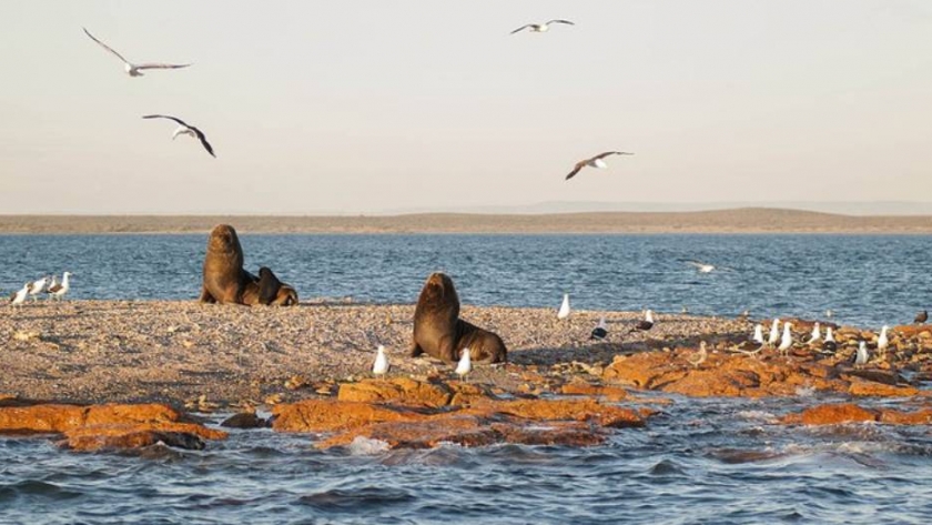 Descubriendo el primer parque nacional marino costero de la Argentina