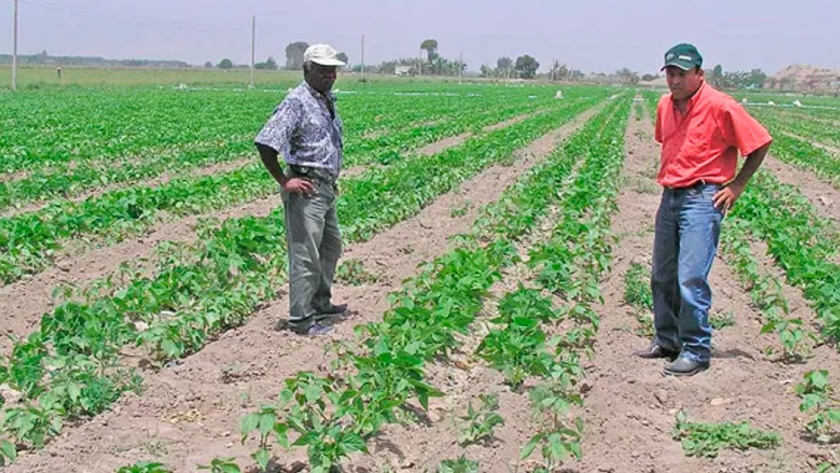 Una vez en la vida vamos a necesitar un médico, abogado o arquitecto, pero tres veces al día necesitamos de un agricultor