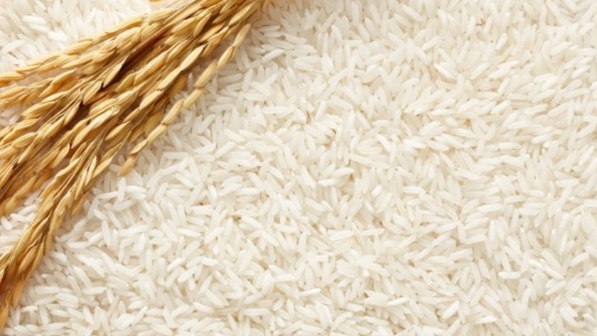Exportarán 200 contenedores de arroz paraguayo a Europa