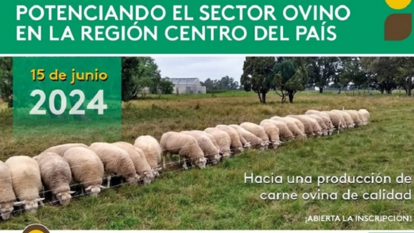Una jornada para debatir sobre el futuro de la producción ovina