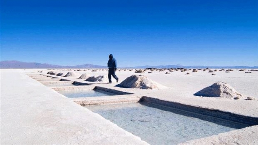 Realizarán pruebas de extracción sustentable en la Puna Argentina