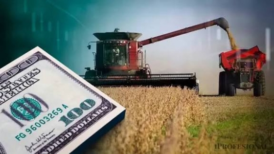 Presupuesto 2027: el Gobierno proyecta más ingresos por retenciones pese a la baja de alícuotas