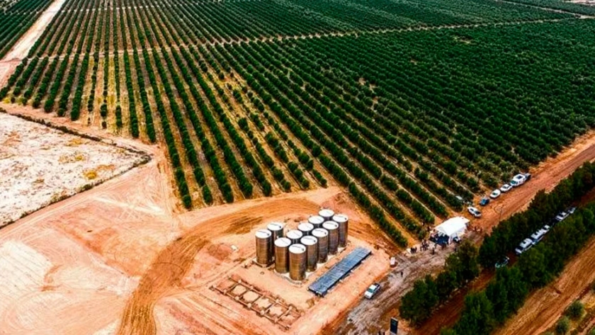 A pesar de la crisis económica hay empresarios invirtiendo