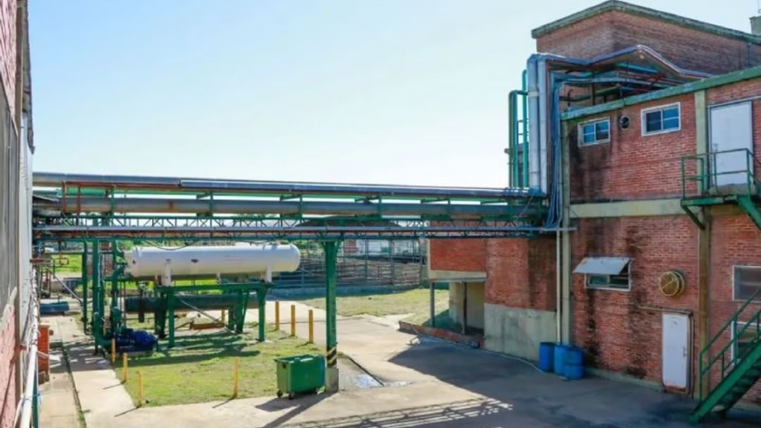 Reabrirán dos frigoríficos en Chaco con una inversión de US$5 millones y generarán 80 puestos de trabajo