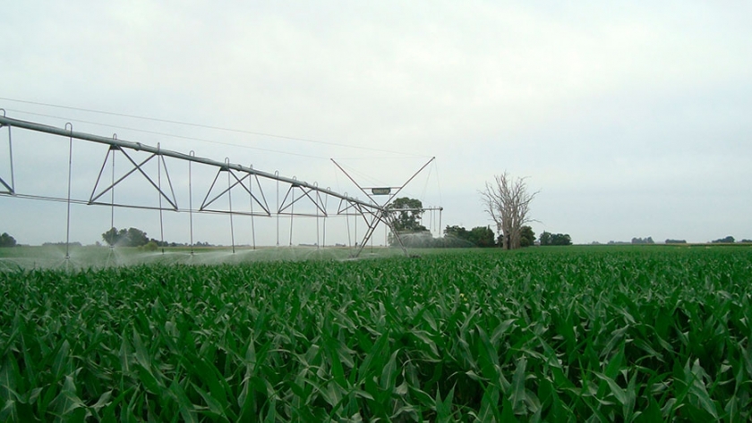 Riego complementario: es clave evaluar la calidad del agua