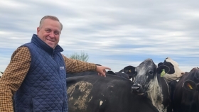 Cruzó girolando con jersey y duplicó su rodeo en 5 años